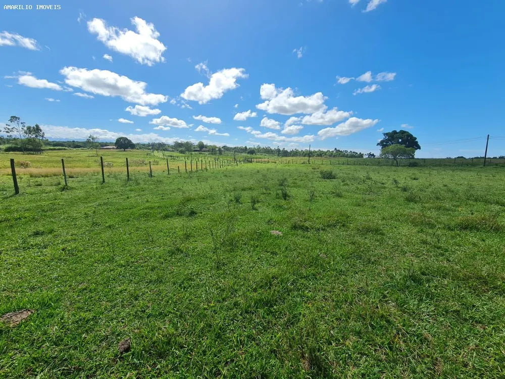 Fazenda, 252 hectares - Foto 12