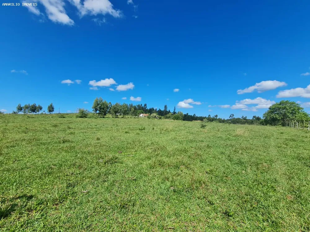 Fazenda, 252 hectares - Foto 9