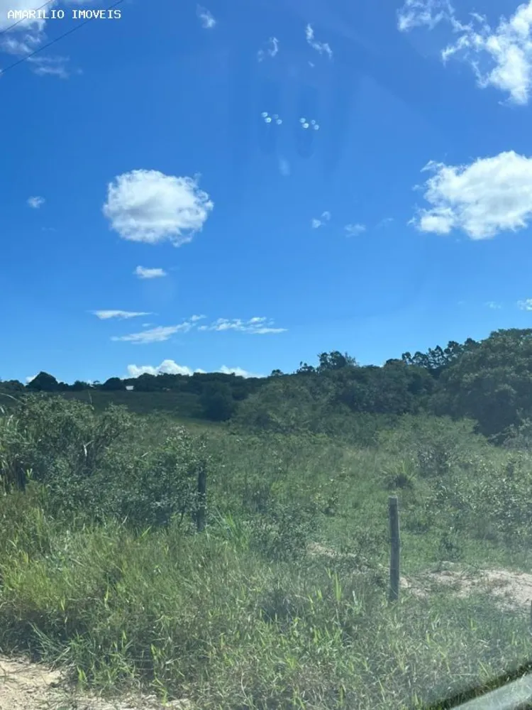 Fazenda, 252 hectares - Foto 7
