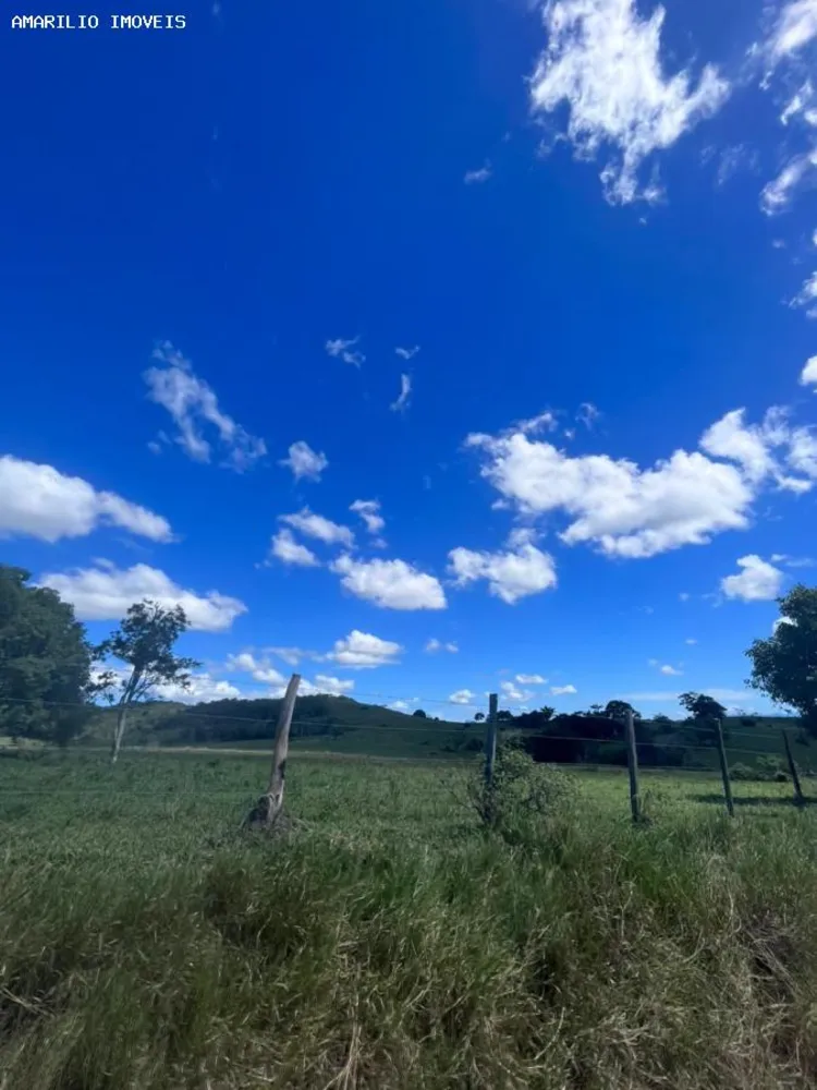 Fazenda, 252 hectares - Foto 29