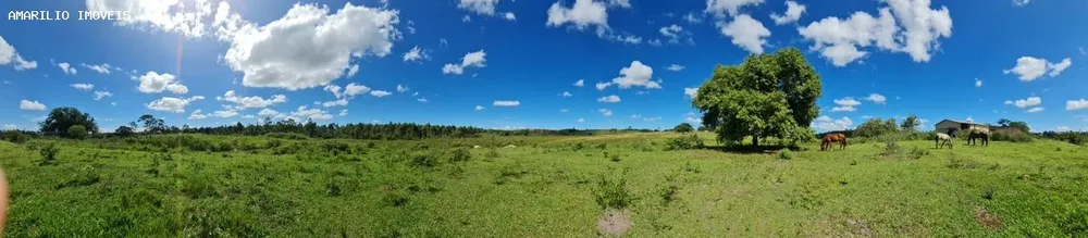 Fazenda, 252 hectares - Foto 31
