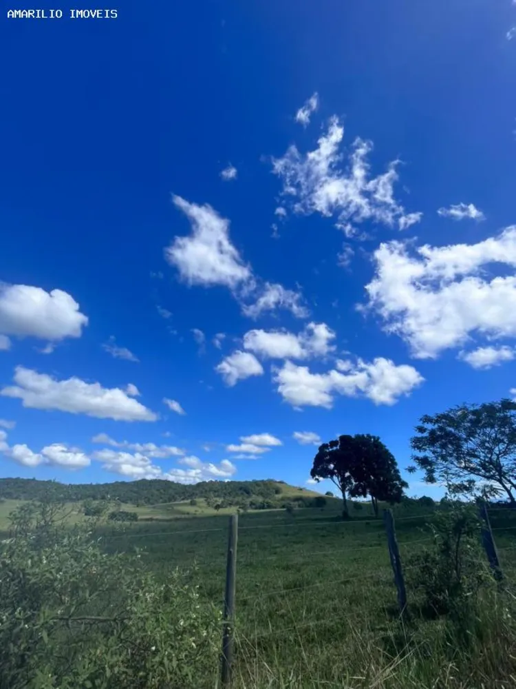 Fazenda, 252 hectares - Foto 27