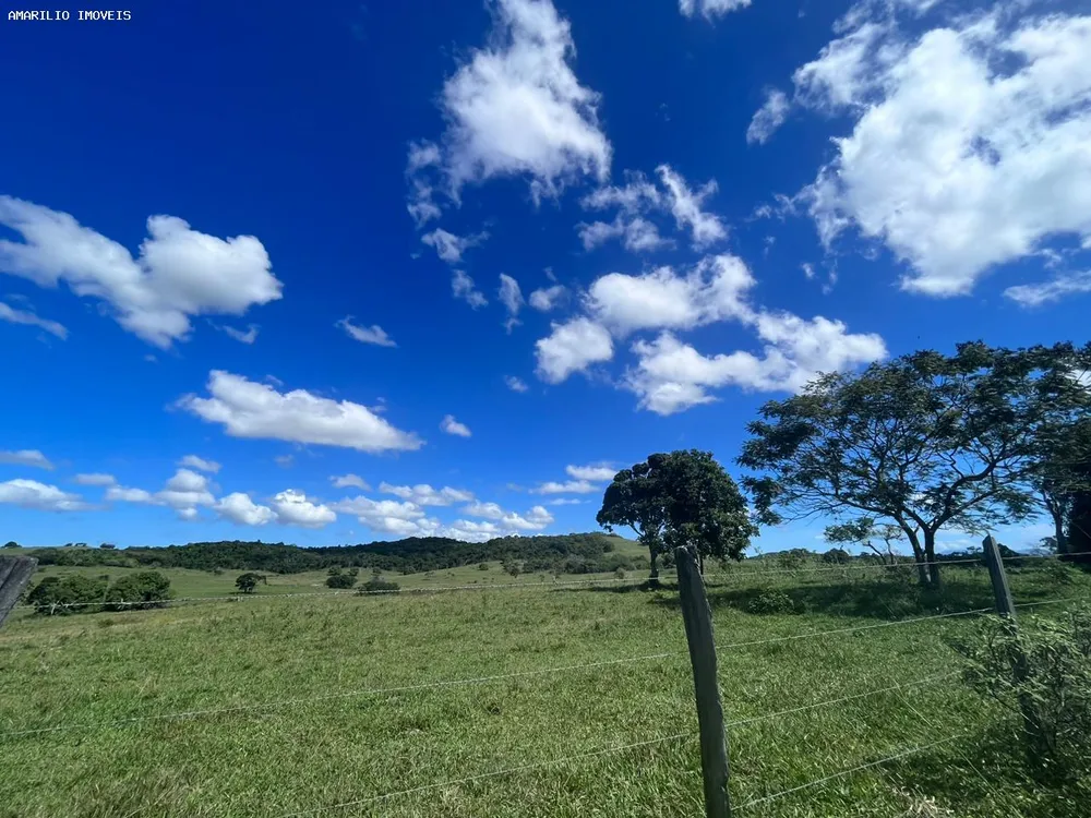 Fazenda, 252 hectares - Foto 28
