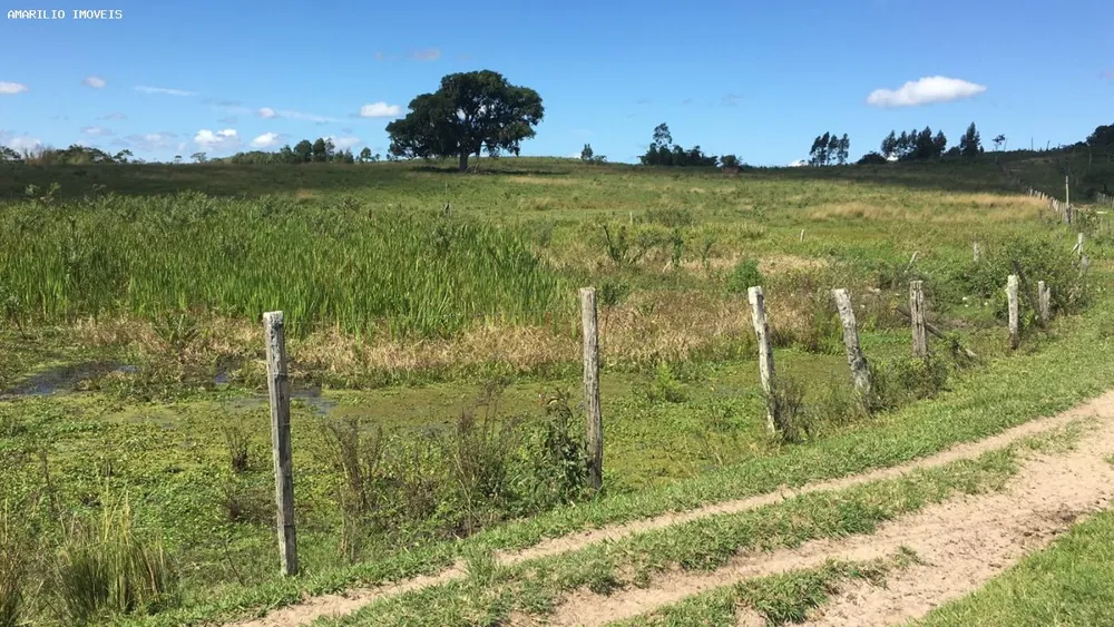 Fazenda, 252 hectares - Foto 16