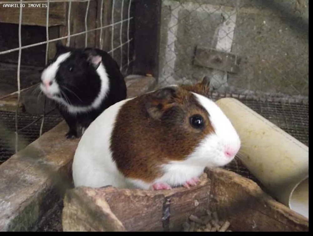 Hotel, 20 quartos, 1000 m² - Foto 35