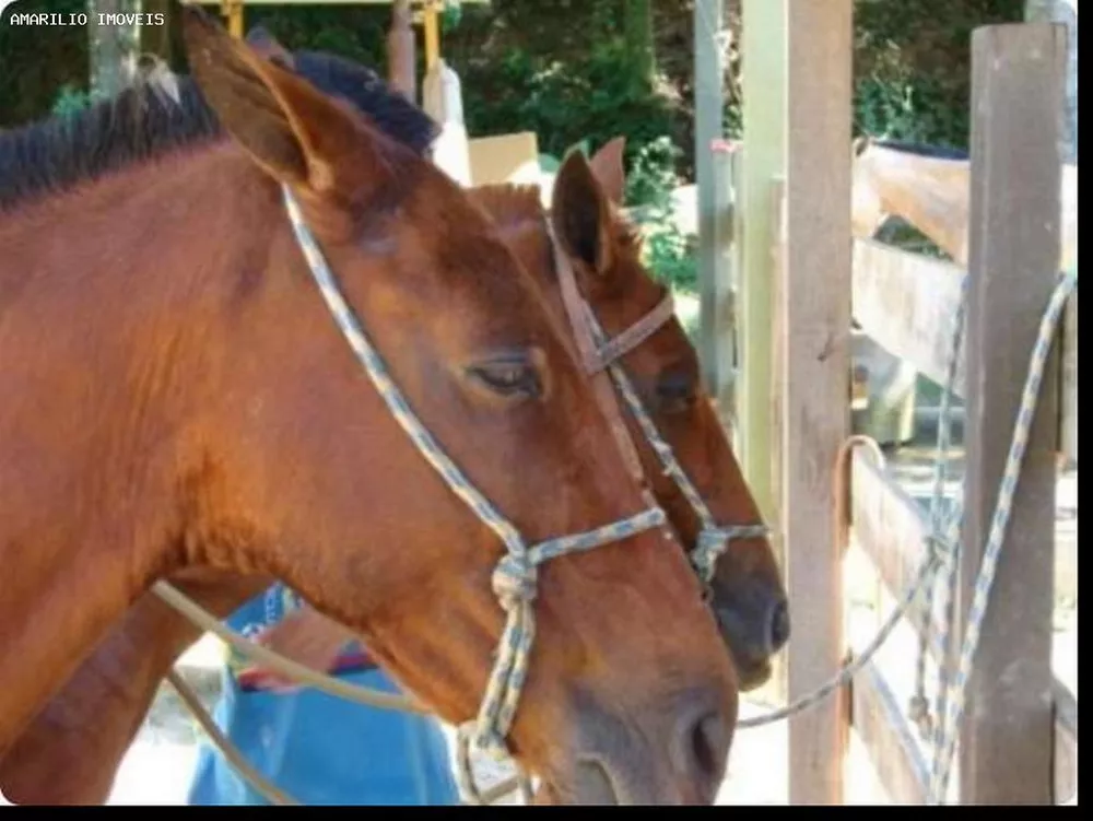 Hotel, 20 quartos, 1000 m² - Foto 43