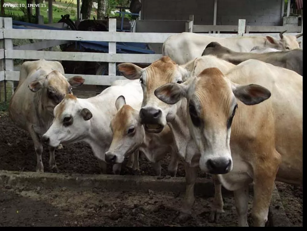 Hotel, 20 quartos, 1000 m² - Foto 36