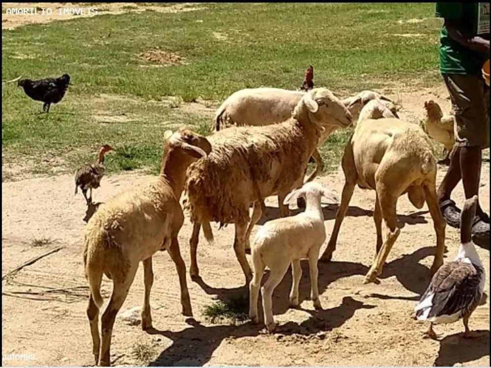 Hotel, 20 quartos, 1000 m² - Foto 42