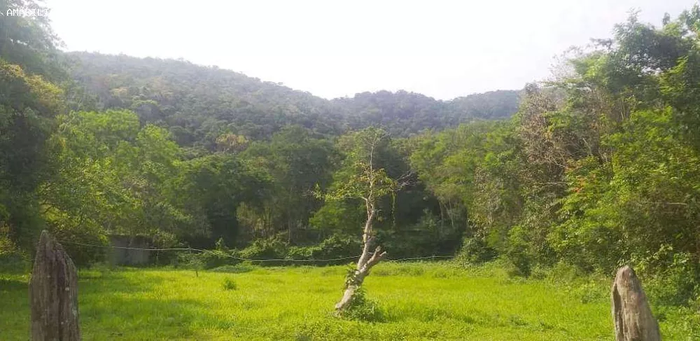 Terreno, 2 hectares - Foto 1