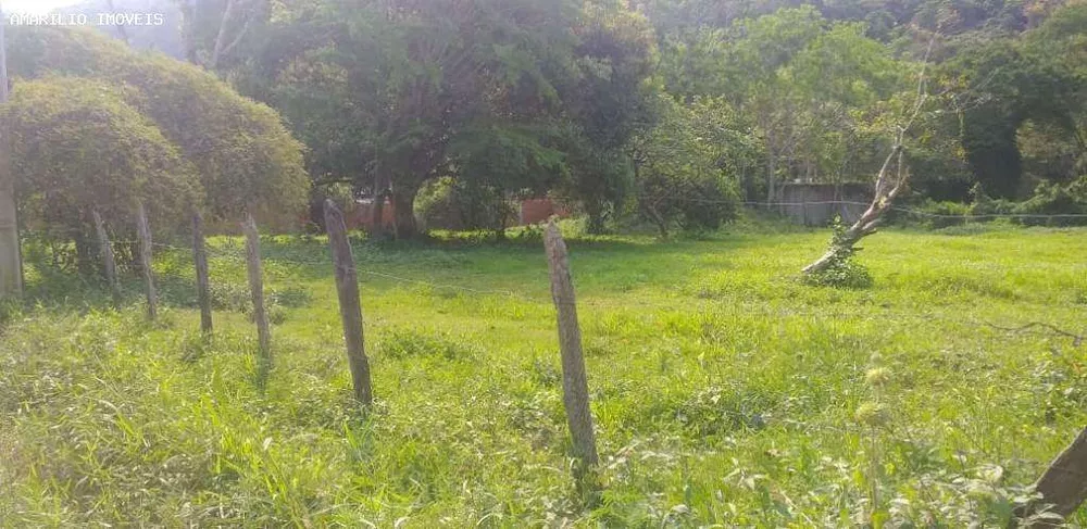 Terreno, 2 hectares - Foto 6