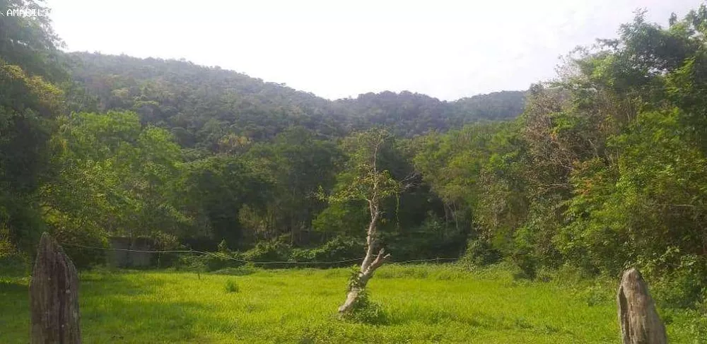 Terreno, 2 hectares - Foto 7
