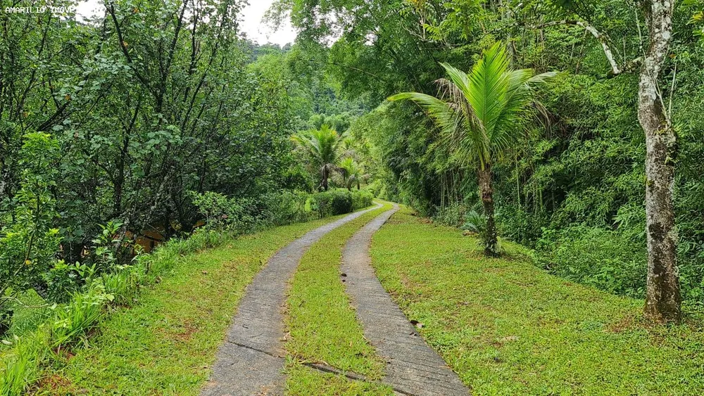 Chácara, 3 quartos, 13 hectares - Foto 63