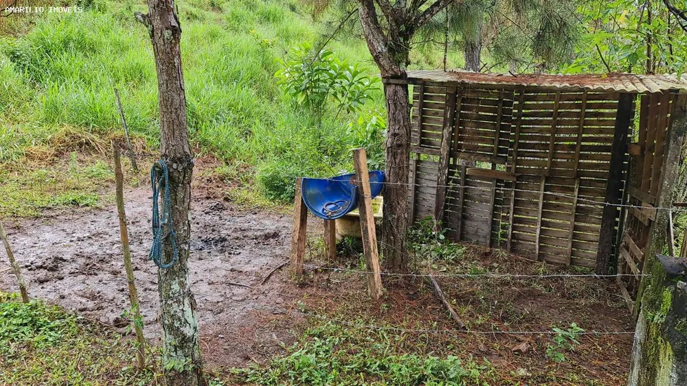 Chácara, 3 quartos, 13 hectares - Foto 39