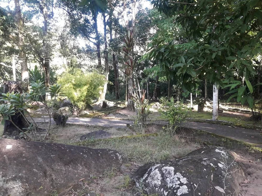 Fazenda, 28 hectares - Foto 38