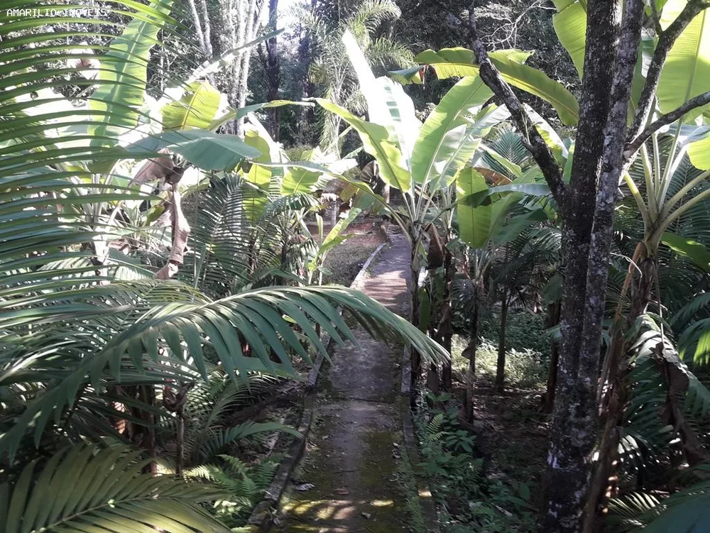 Fazenda, 28 hectares - Foto 44