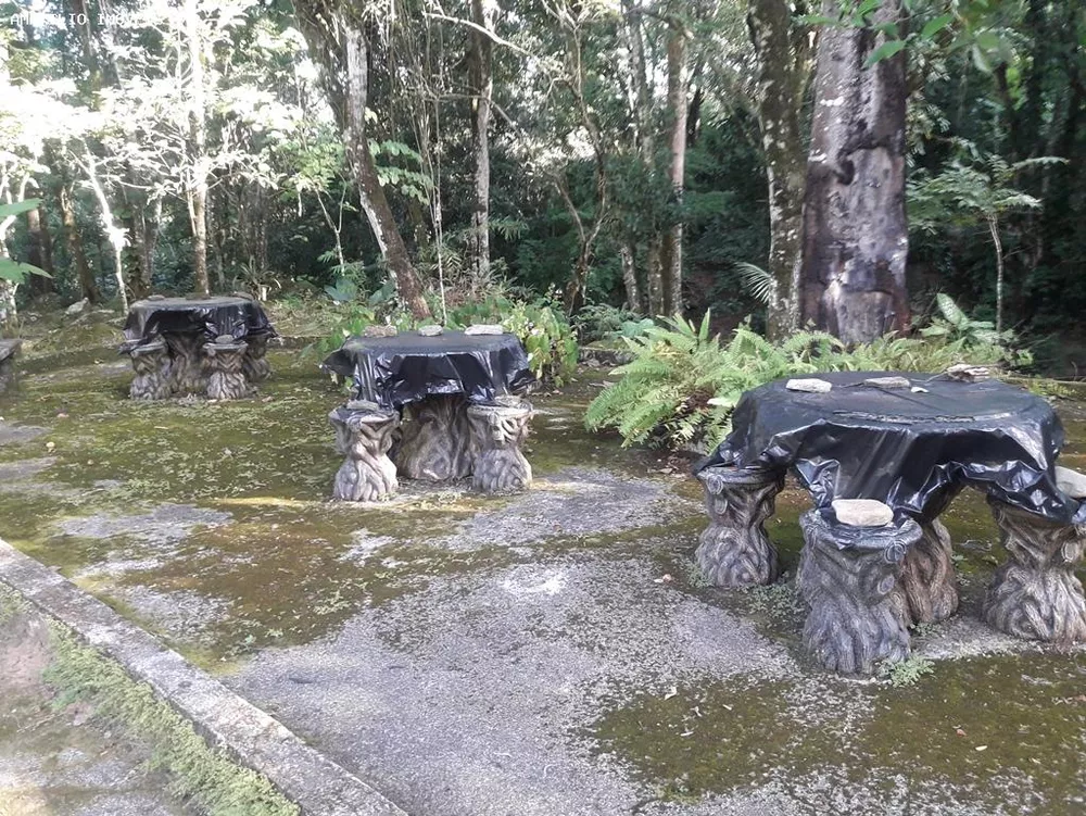 Fazenda, 28 hectares - Foto 35