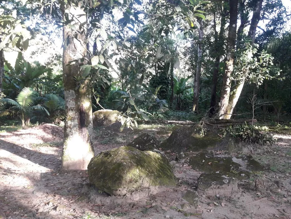 Fazenda, 28 hectares - Foto 58