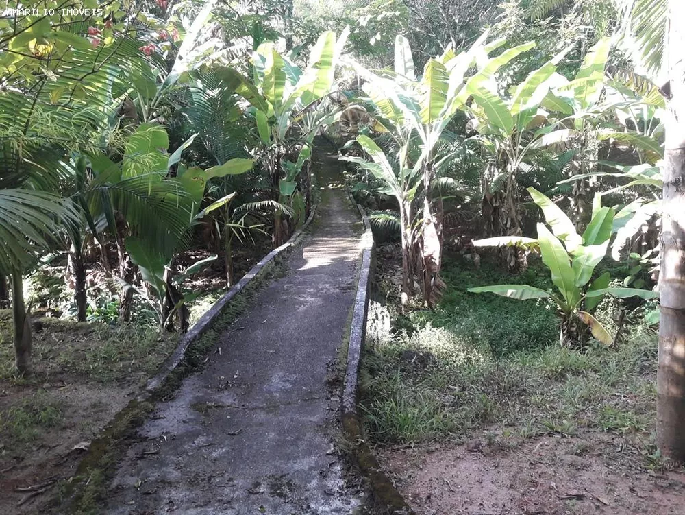 Fazenda, 28 hectares - Foto 40