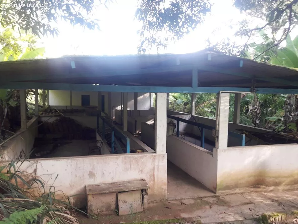 Fazenda, 28 hectares - Foto 43