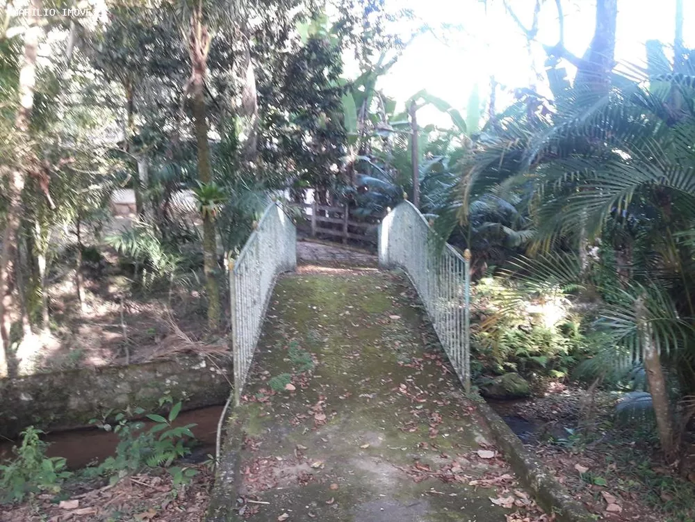 Fazenda, 28 hectares - Foto 41