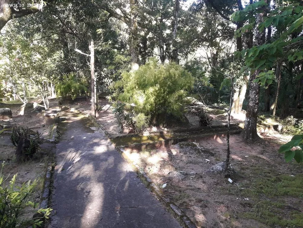 Fazenda, 28 hectares - Foto 39