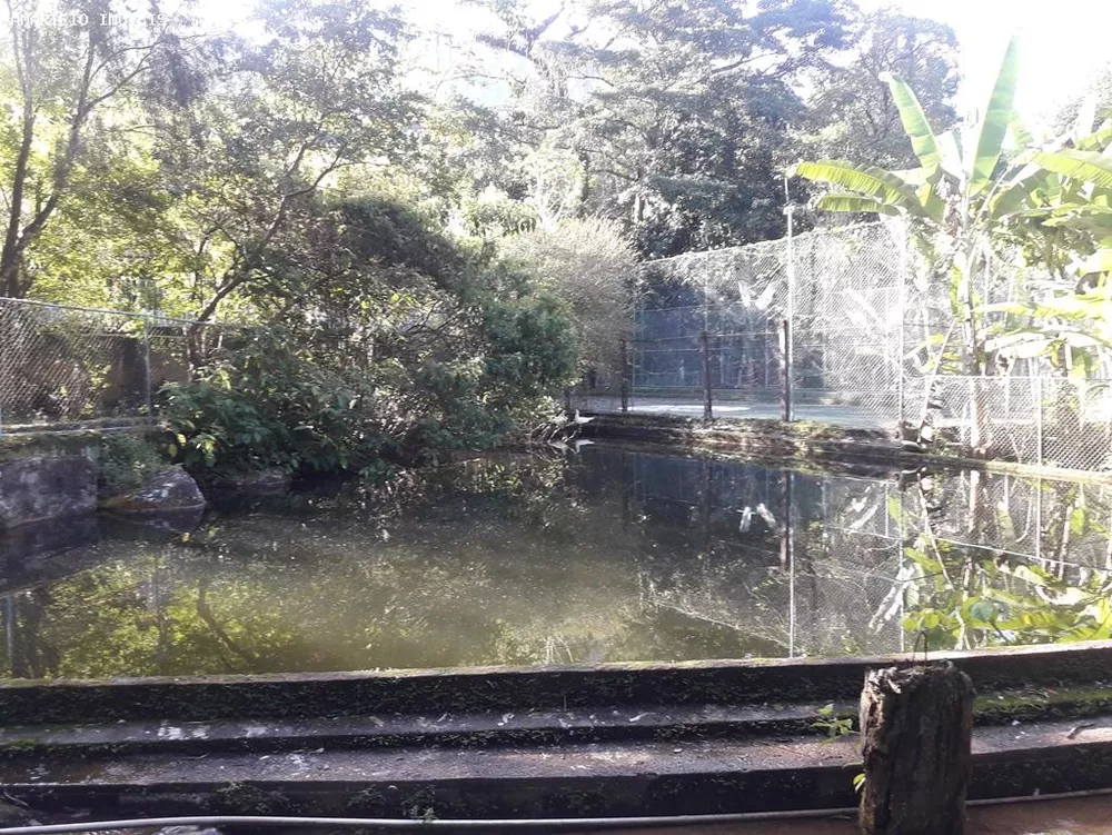 Fazenda, 28 hectares - Foto 36