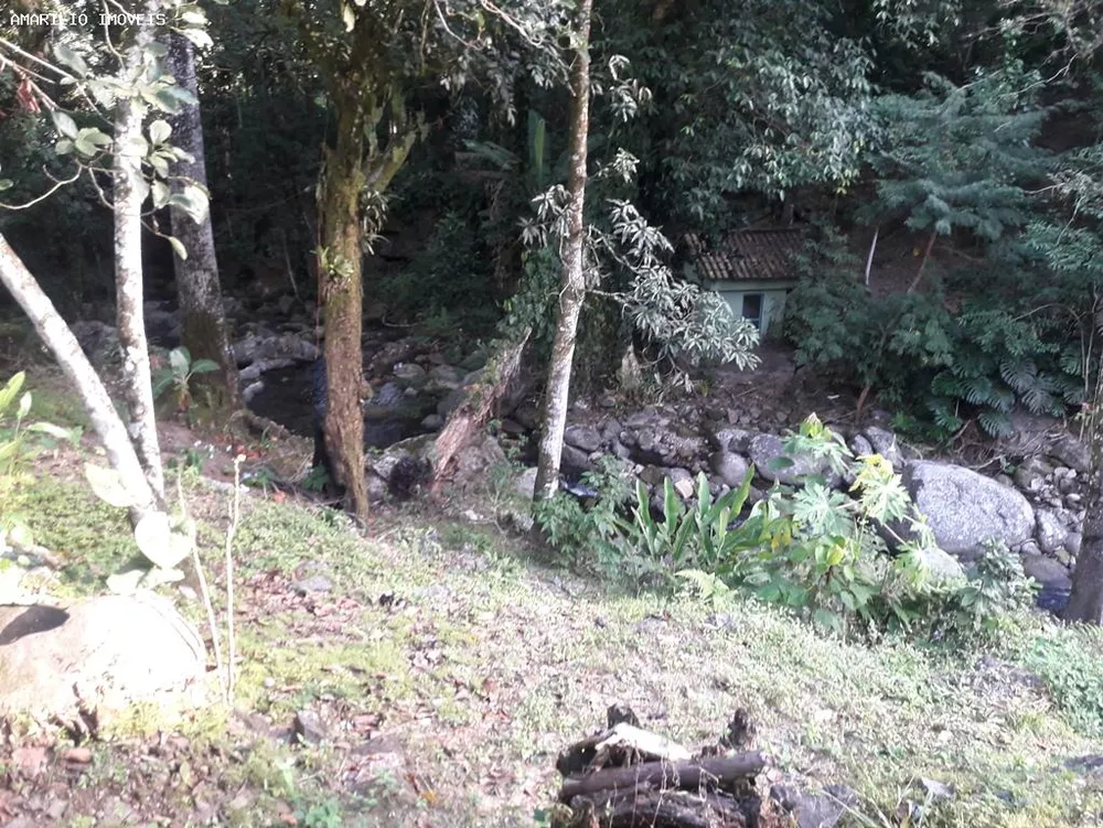 Fazenda, 28 hectares - Foto 56