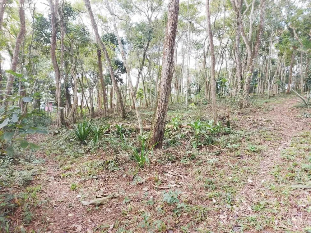 Sítio, 1 quarto, 4 hectares - Foto 34