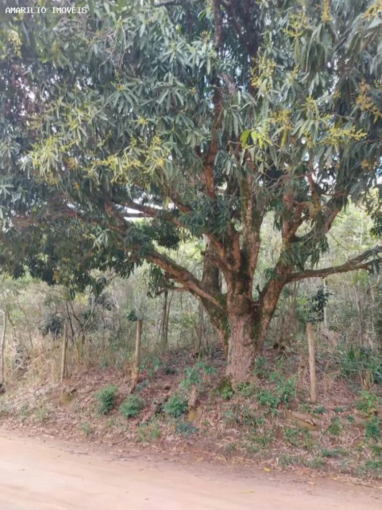 Sítio, 1 quarto, 4 hectares - Foto 35