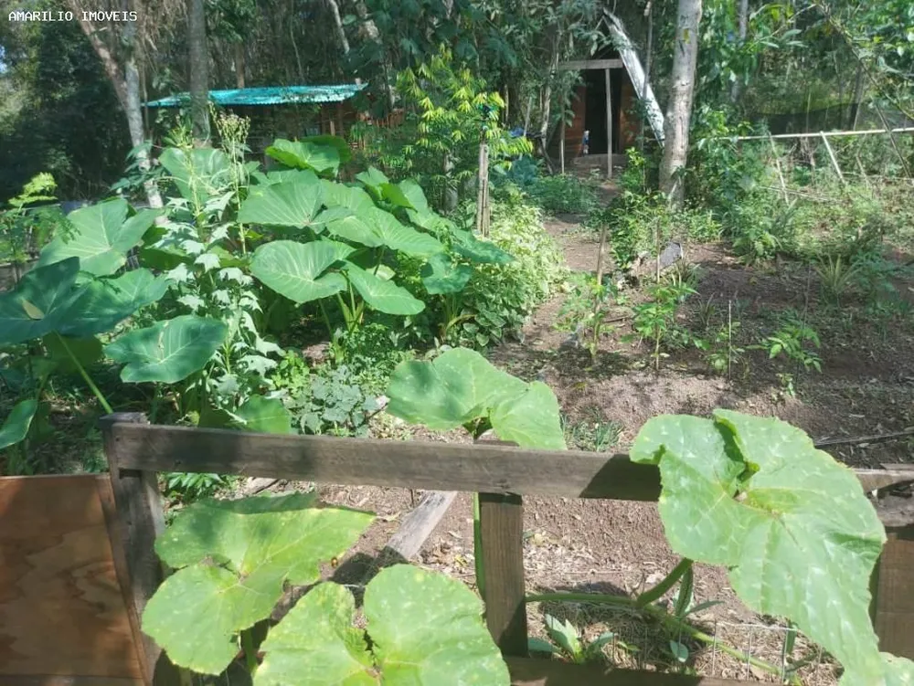 Sítio, 1 quarto, 4 hectares - Foto 32