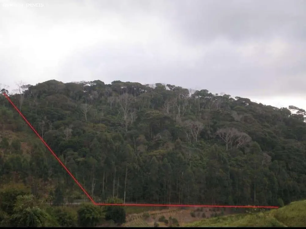 Terreno, 8 hectares - Foto 2