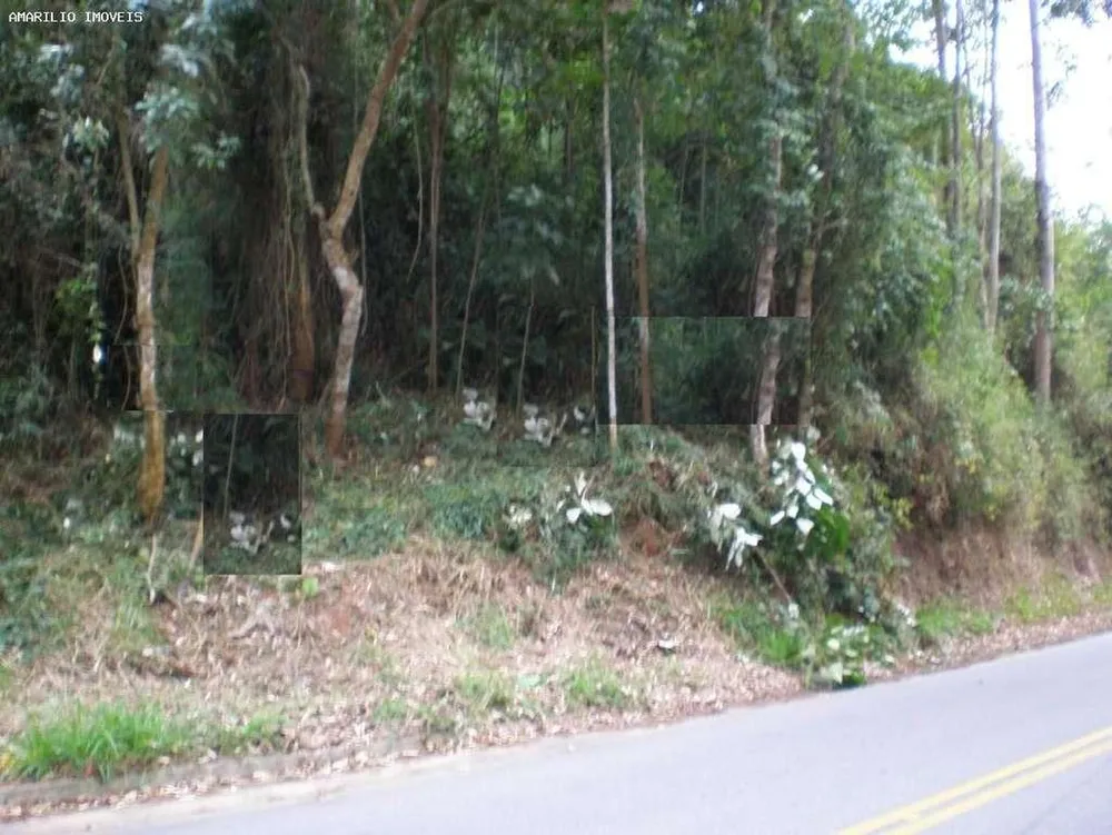 Terreno, 8 hectares - Foto 3