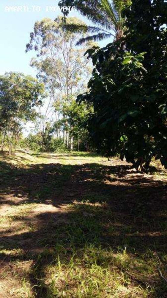 Terreno, 8 hectares - Foto 6
