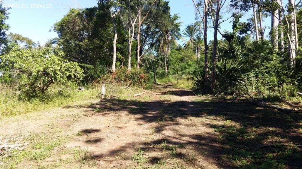 Terreno, 8 hectares - Foto 3