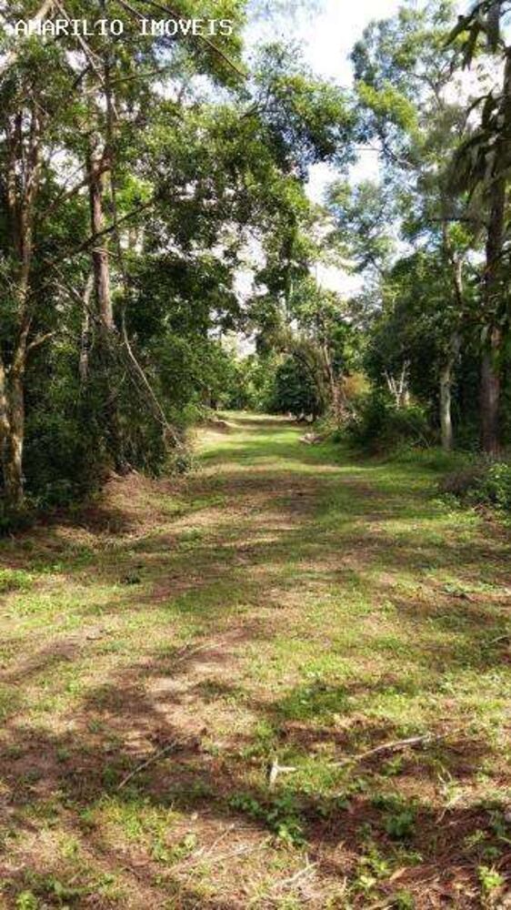 Terreno, 8 hectares - Foto 5