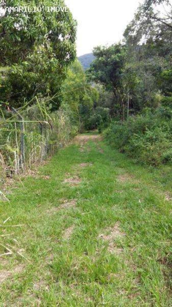 Terreno, 8 hectares - Foto 4