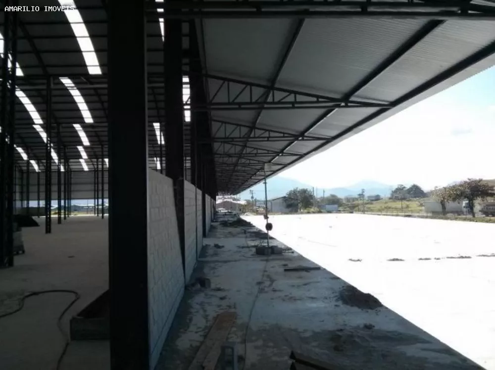 Depósito-Galpão, 6000 m² - Foto 5