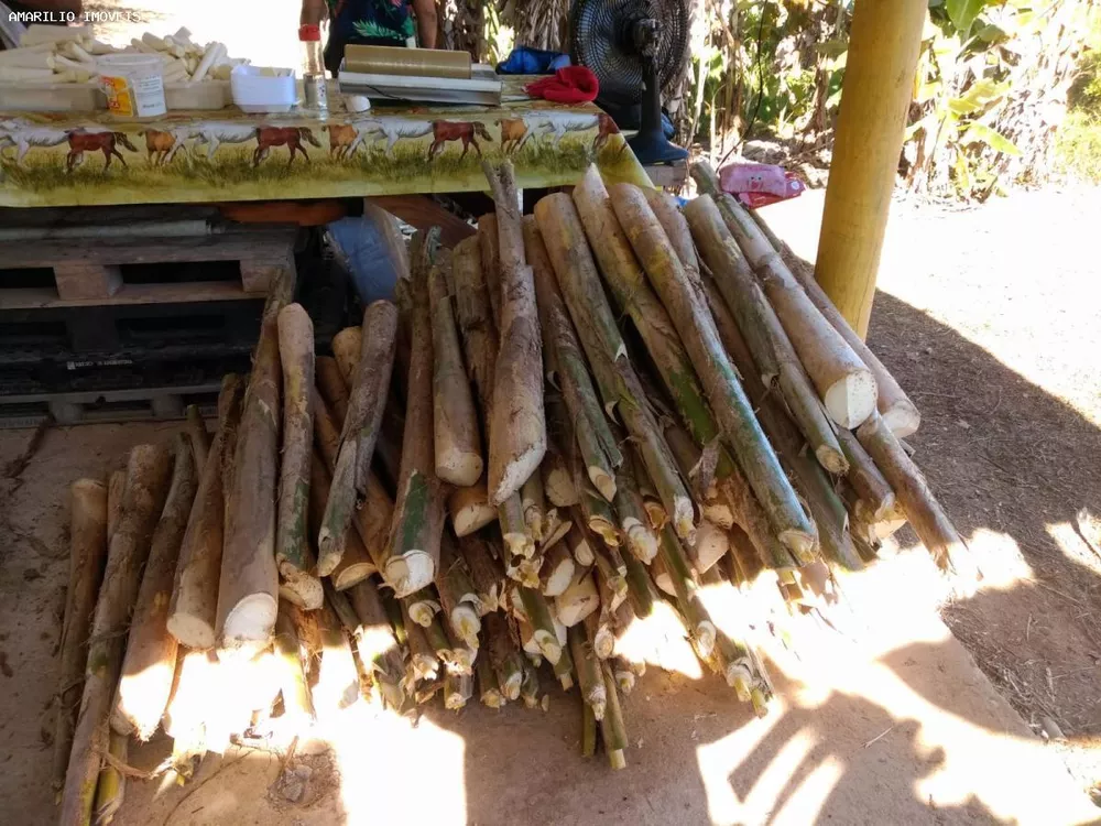 Fazenda, 15 hectares - Foto 10