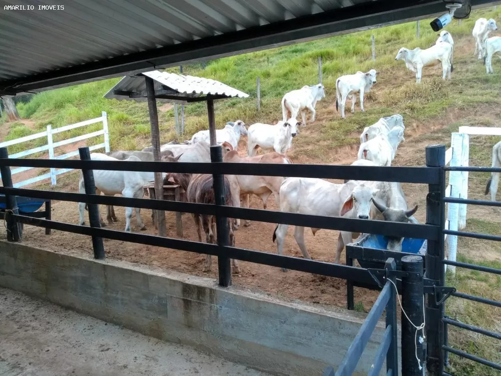 Fazenda, 15 hectares - Foto 7