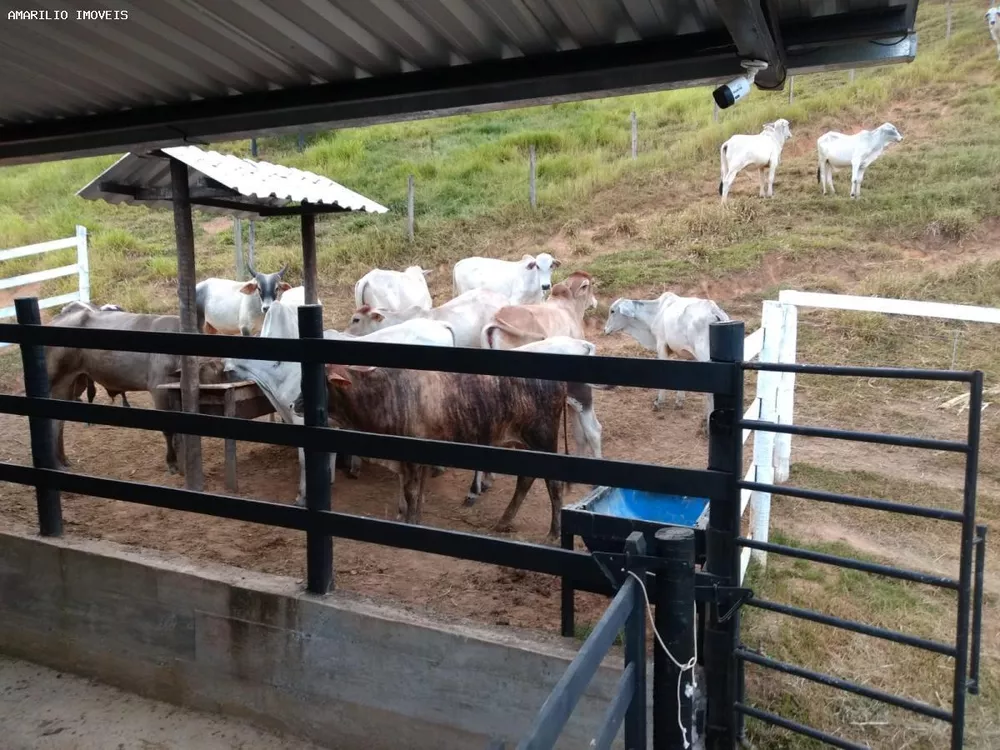 Fazenda, 15 hectares - Foto 6