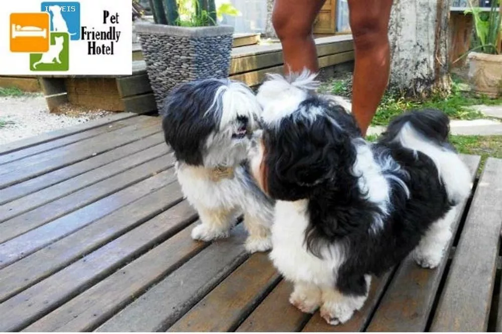 Hotel, 16 quartos, 1000 m² - Foto 49