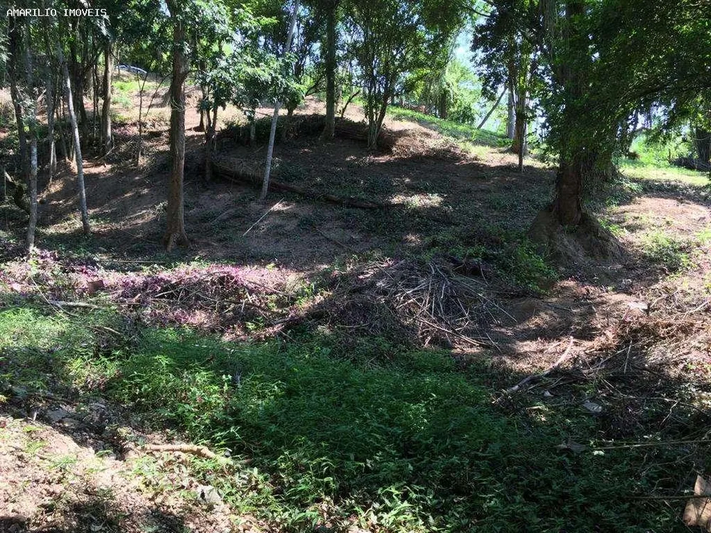 Terreno, 1868 m² - Foto 12