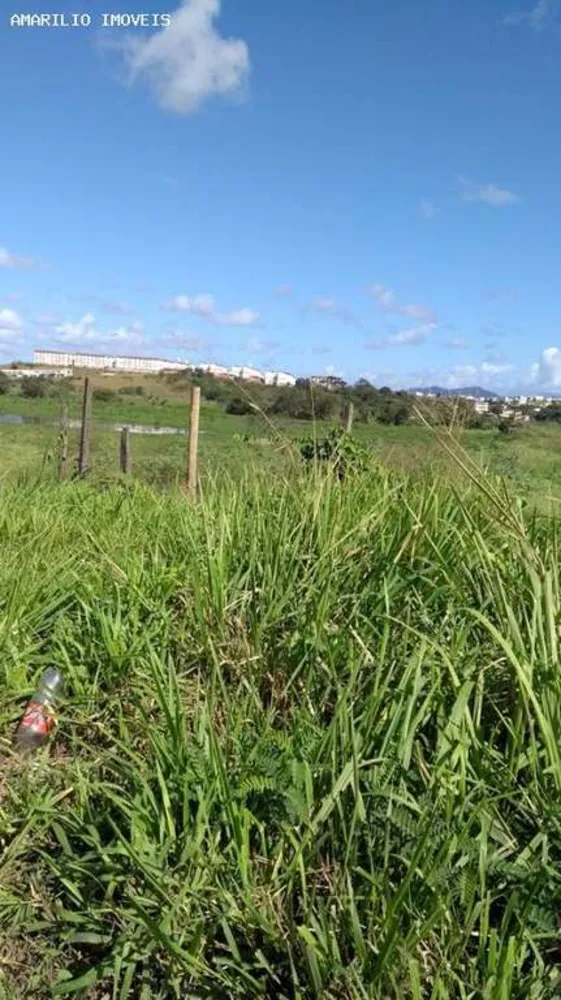 Terreno, 2 hectares - Foto 2