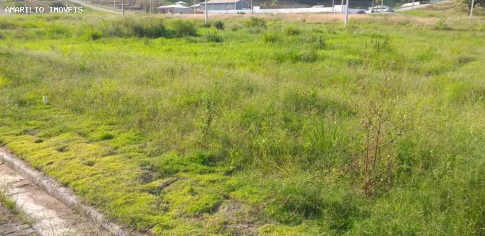 Terreno, 216 m² - Foto 12