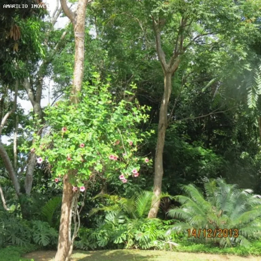 Terreno, 476 m² - Foto 6