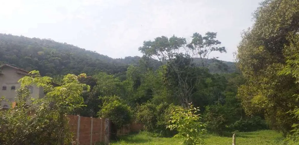 Terreno, 2 hectares - Foto 10