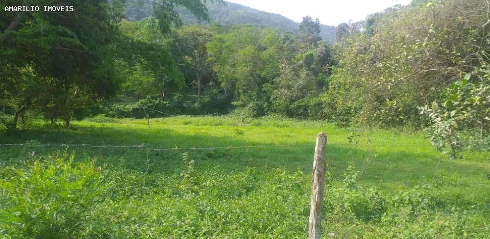 Terreno, 2 hectares - Foto 5