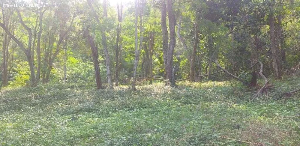 Terreno, 2 hectares - Foto 3