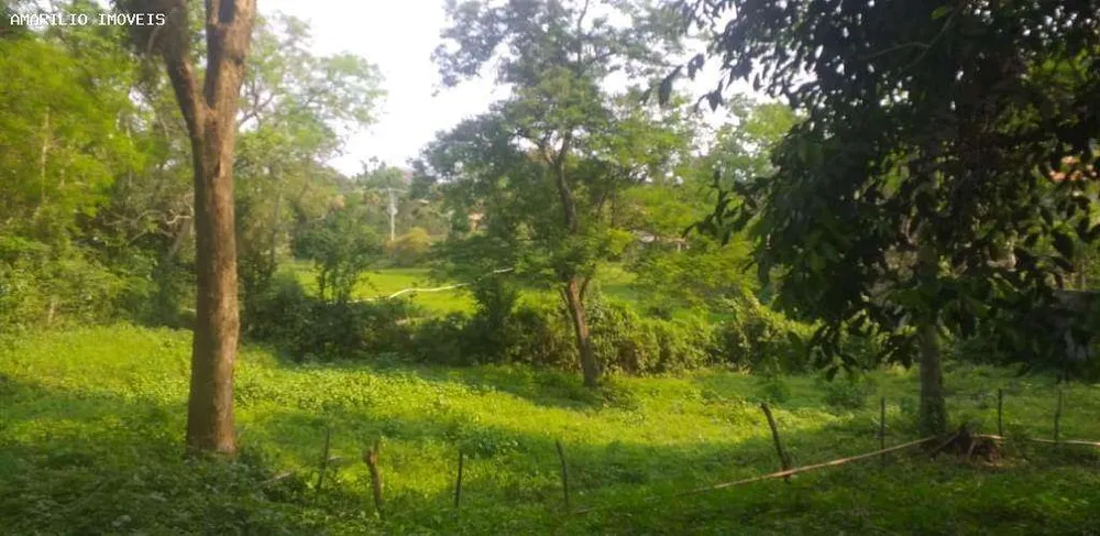 Terreno, 2 hectares - Foto 1