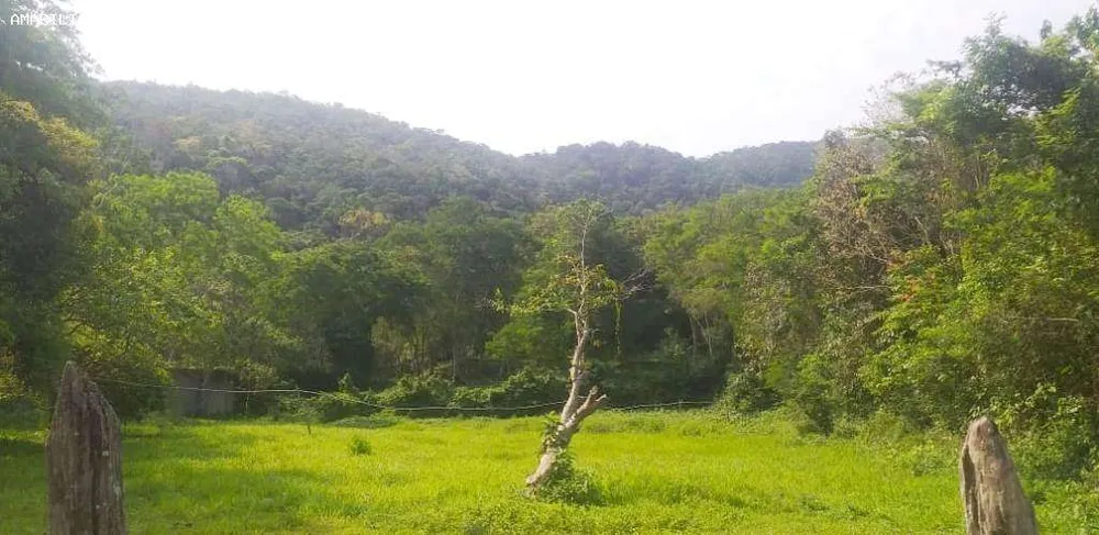 Terreno, 2 hectares - Foto 8